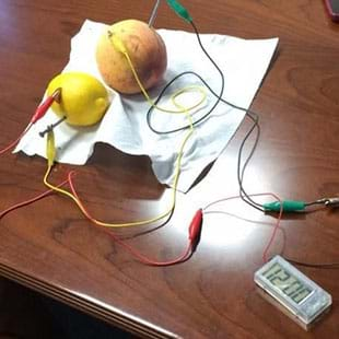 preview of 'Powering a Device Using Food' Activity