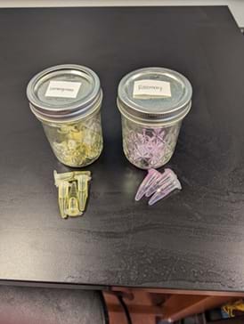 A photo of two glass jars with metal lids sitting on a black tabletop. Each jar lid is labeled. The jar on the left is labeled “Lemon yellow” and contains small yellow plastic clips. The jar on the right is labeled “Raspberry” and contains small pink plastic clips. In front of the jars are a few loose clips matching the colors in each jar—yellow clips on the left and pink clips on the right. A photo of two glass jars with metal lids sitting on a black tabletop. Each jar lid is labeled. The jar on the left is labeled “Lemon yellow” and contains small yellow plastic clips. The jar on the right is labeled “Raspberry” and contains small pink plastic clips. In front of the jars are a few loose clips matching the colors in each jar—yellow clips on the left and pink clips on the right.