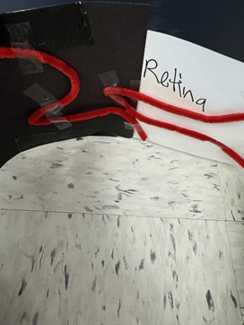 A photo showing the retina view of a student’s eye model.