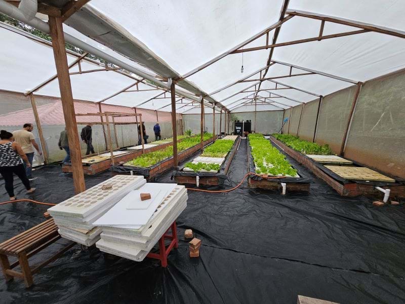 A photo showing 5 beds filled with water. Floating on top of the water are Styrofoam pot holders to hold each pot with a plant in it. Not shown is a large tank filled with 396 tilapia from which water is pumped through the beds.