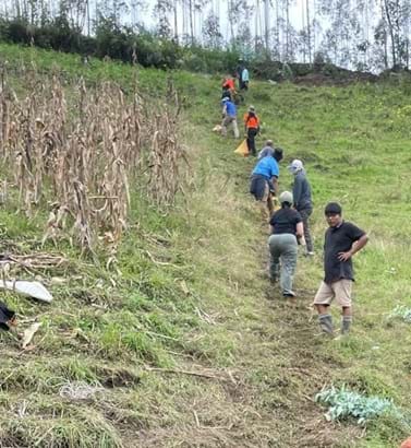 A photo of a grassy hillside viewed from the bottom, where people are lined up, handing off bags of material to the next person down the hill. A corn field lies adjacent to the exhausted-looking people. A photo of a grassy hillside viewed from the bottom, where people are lined up, handing off bags of material to the next person down the hill. A corn field lies adjacent to the exhausted-looking people.