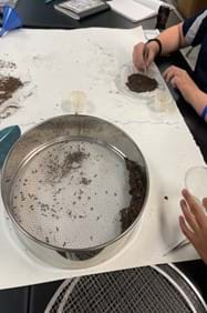 A photo showing students analyzing their separated soil.