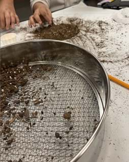 A photo showing students using a large filter to sift potting soil.