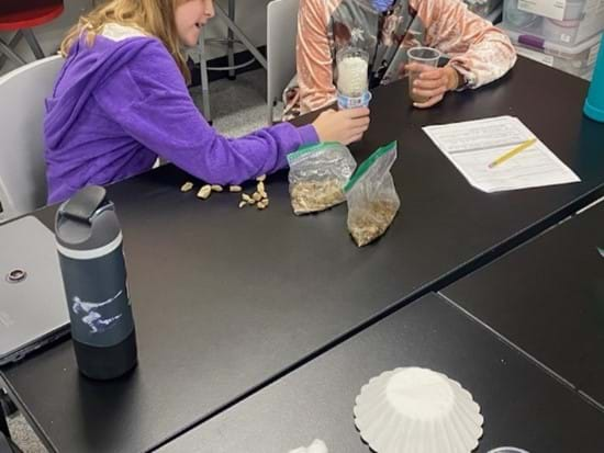 A photo showing students building water filtration systems. 