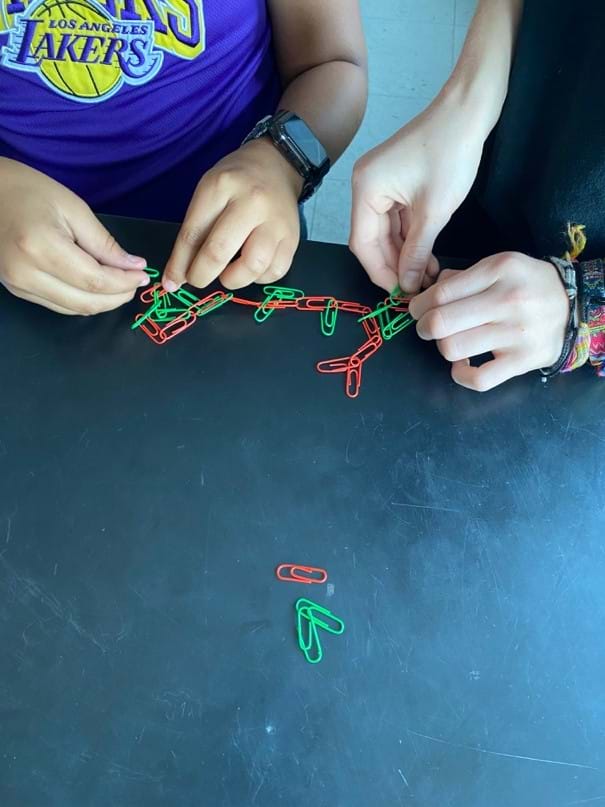 A photo showing two students working together to combine green and orange paperclips to create a chain. A photo showing two students working together to combine green and orange paperclips to create a chain.