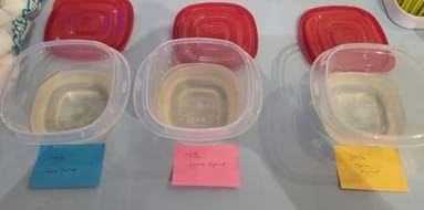 A photo showing three plastic containers of corn syrup baths, each containing a different percentage of corn syrup. A photo showing three plastic containers of corn syrup baths, each containing a different percentage of corn syrup.
