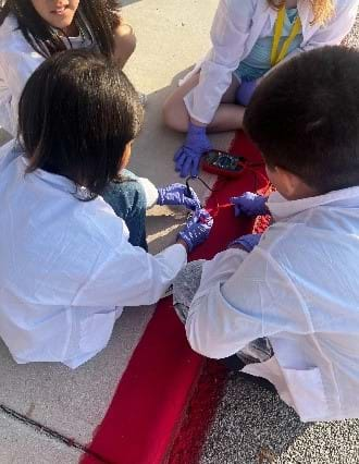 A photo showing two students leaning over their solar cell as they measure its voltage.