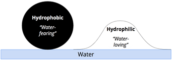 A diagram showing a droplet on a water surface. A large, tight, spherical black droplet is labeled "Hydrophobic" (water-fearing), illustrating minimal contact with the water. A low, spread-out droplet is labeled "Hydrophilic" (water-loving), illustrating maximum contact. A diagram showing a droplet on a water surface. A large, tight, spherical black droplet is labeled "Hydrophobic" (water-fearing), illustrating minimal contact with the water. A low, spread-out droplet is labeled "Hydrophilic" (water-loving), illustrating maximum contact.