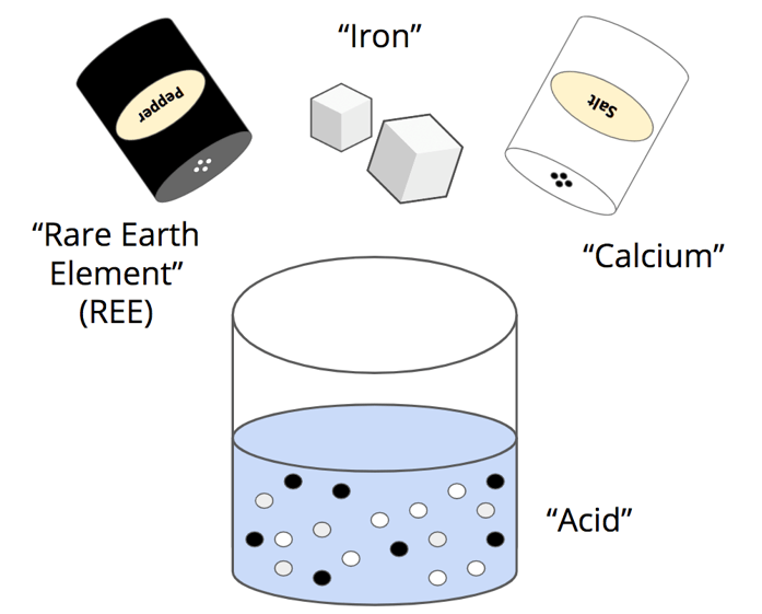 A diagram illustrating the initial setup for a science laboratory model designed to simulate Rare Earth Element (REE) extraction. The central element is a beaker of light-blue liquid labeled "Acid," containing suspended small black dots and white circles. Above the beaker, the components of the mixture are shown with their real-world analogies: A shaker of pepper represents the REE being extracted, a shaker of salt represents calcium, and two sugar cubes represent iron. The image visually sets up the challenge where students must separate the pepper (REE) from the dissolved salt and sugar within the water (Acid) model. A diagram illustrating the initial setup for a science laboratory model designed to simulate Rare Earth Element (REE) extraction. The central element is a beaker of light-blue liquid labeled "Acid," containing suspended small black dots and white circles. Above the beaker, the components of the mixture are shown with their real-world analogies: A shaker of pepper represents the REE being extracted, a shaker of salt represents calcium, and two sugar cubes represent iron. The image visually sets up the challenge where students must separate the pepper (REE) from the dissolved salt and sugar within the water (Acid) model.