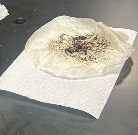 A photo showing pepper that has been “extracted” (captured using a coffee filter) and set aside to dry overnight so the mass can be calculated the following day. A photo showing pepper that has been “extracted” (captured using a coffee filter) and set aside to dry overnight so the mass can be calculated the following day.