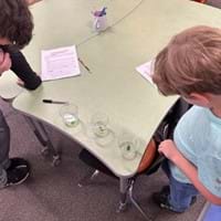 A photo showing two students with three clear cups, containing water, salt solution, and sugar solution, and a gummy in each. A photo showing two students with three clear cups, containing water, salt solution, and sugar solution, and a gummy in each.