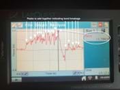 A photo of a Vernier interface with a series of 20 peaks. The peaks represent the force needed to break a bond between amino acids. A photo of a Vernier interface with a series of 20 peaks. The peaks represent the force needed to break a bond between amino acids.